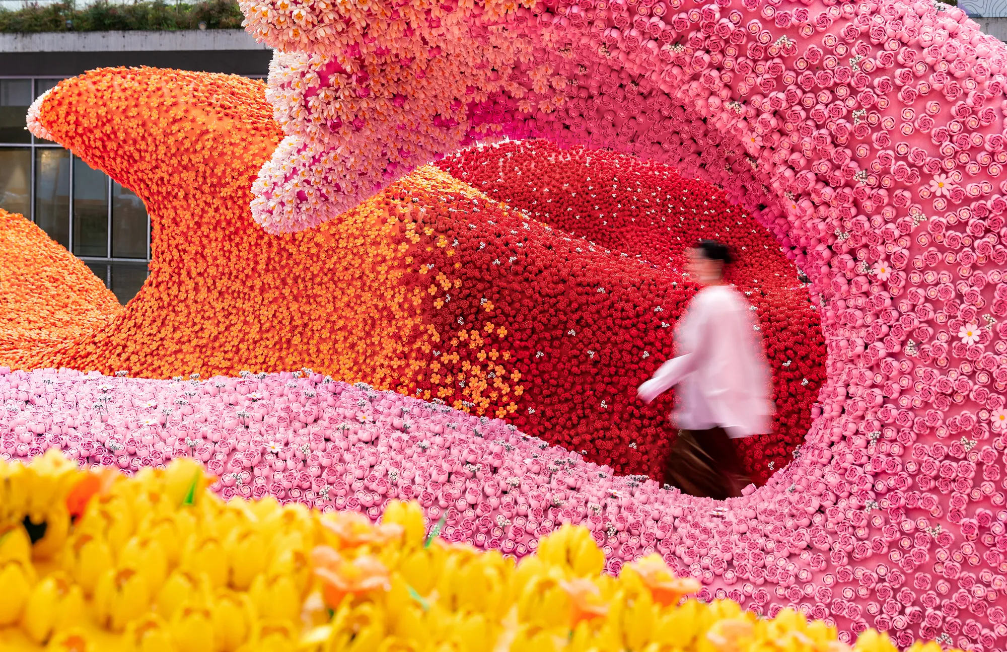 Bloom Exhibition