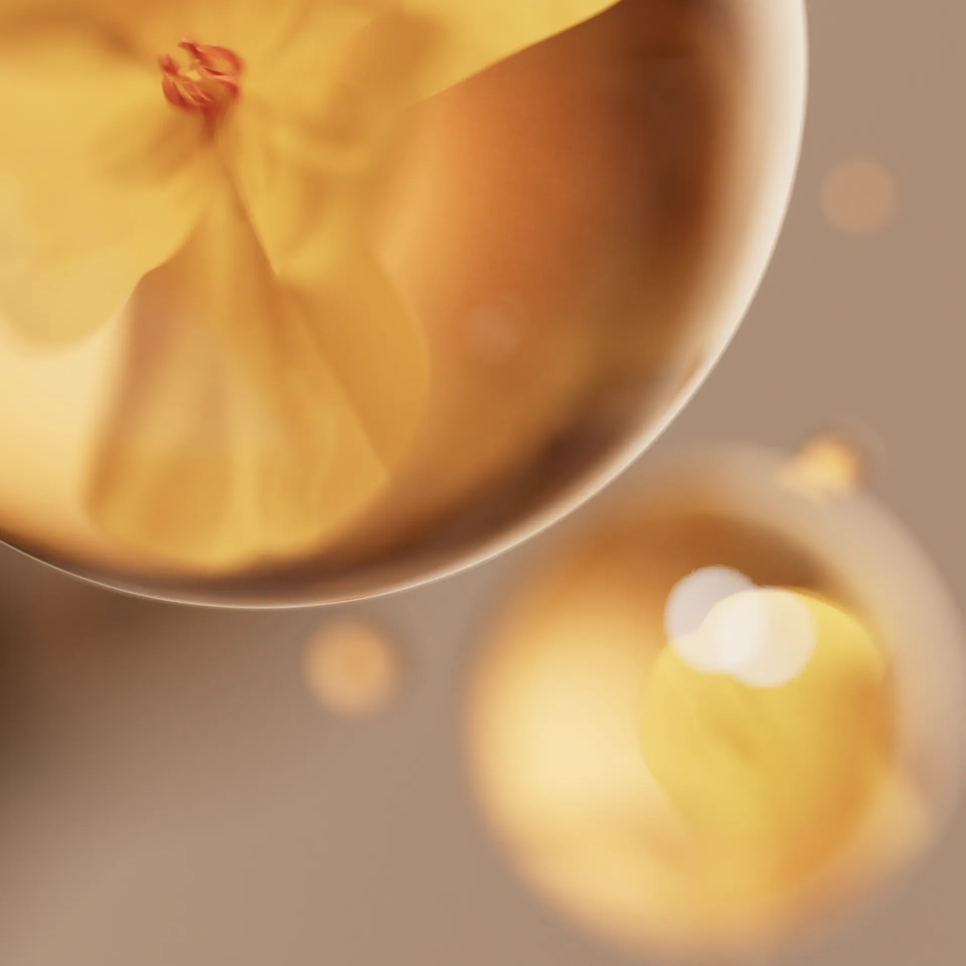 Project Joy