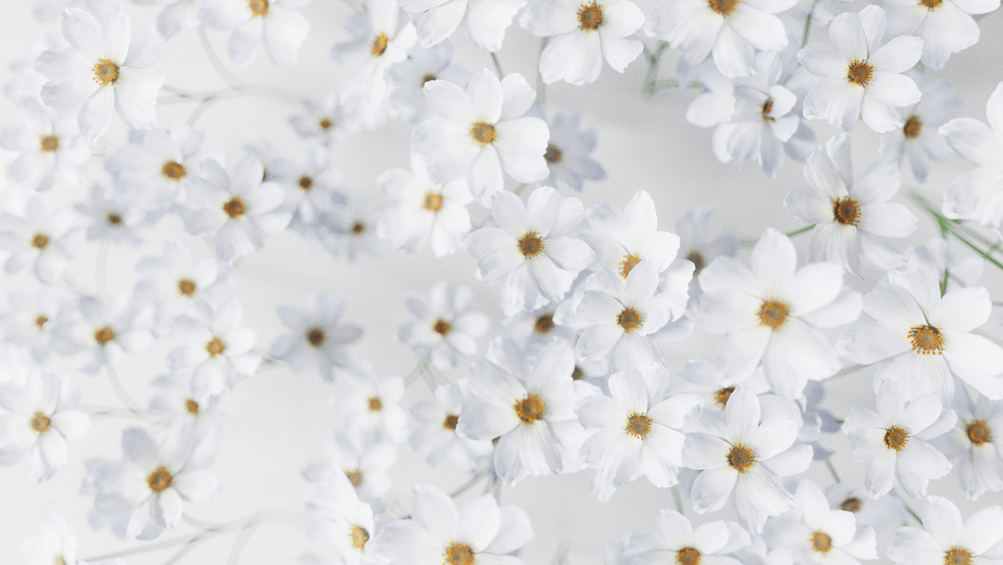 Let Extraordinary Takeover