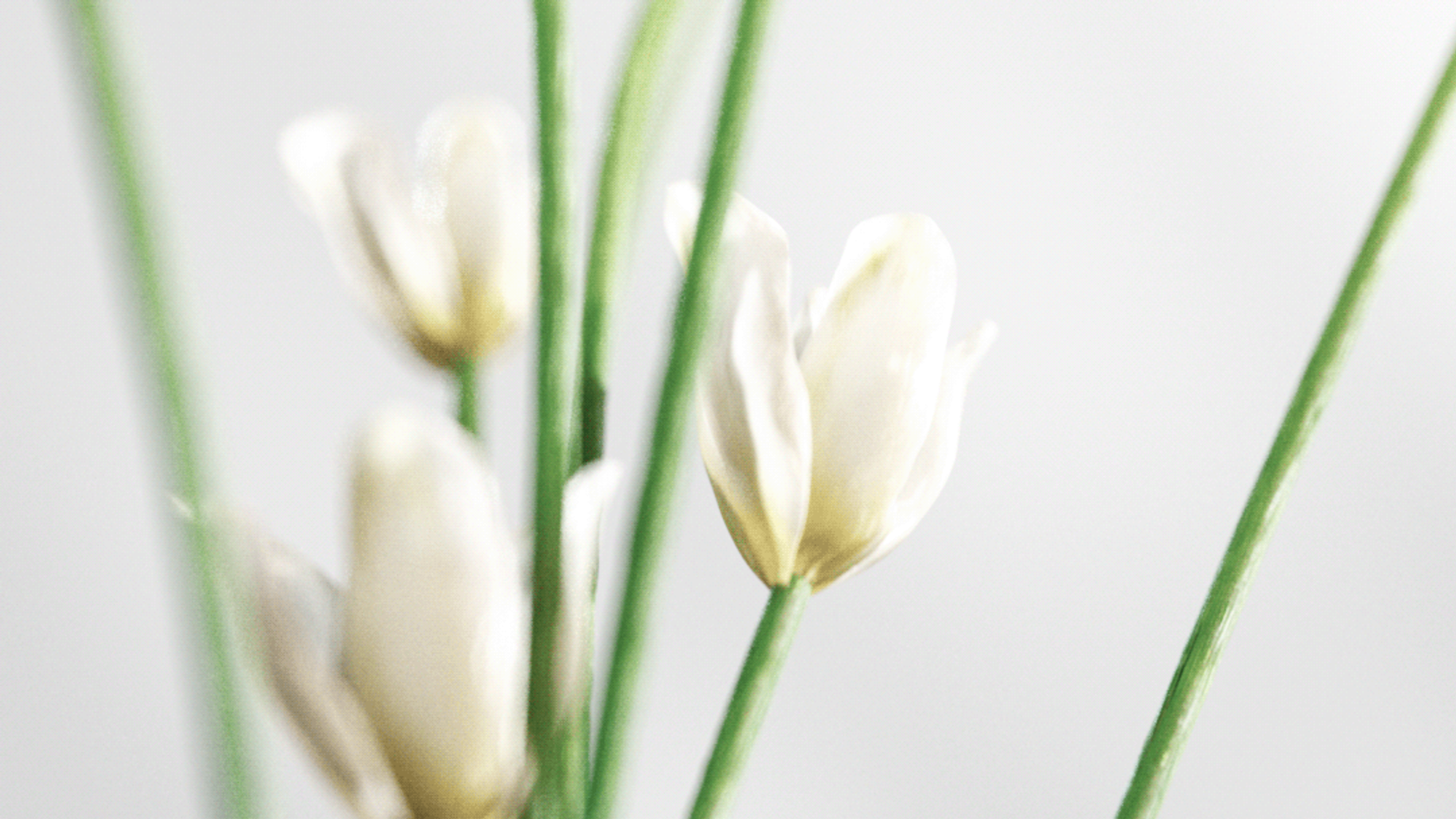 Let Extraordinary Takeover