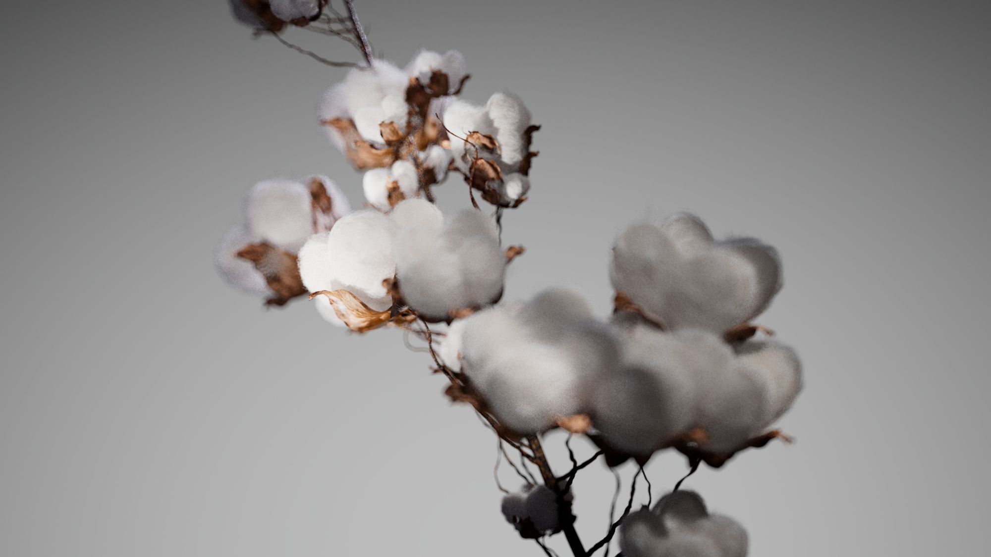 Let Extraordinary Takeover