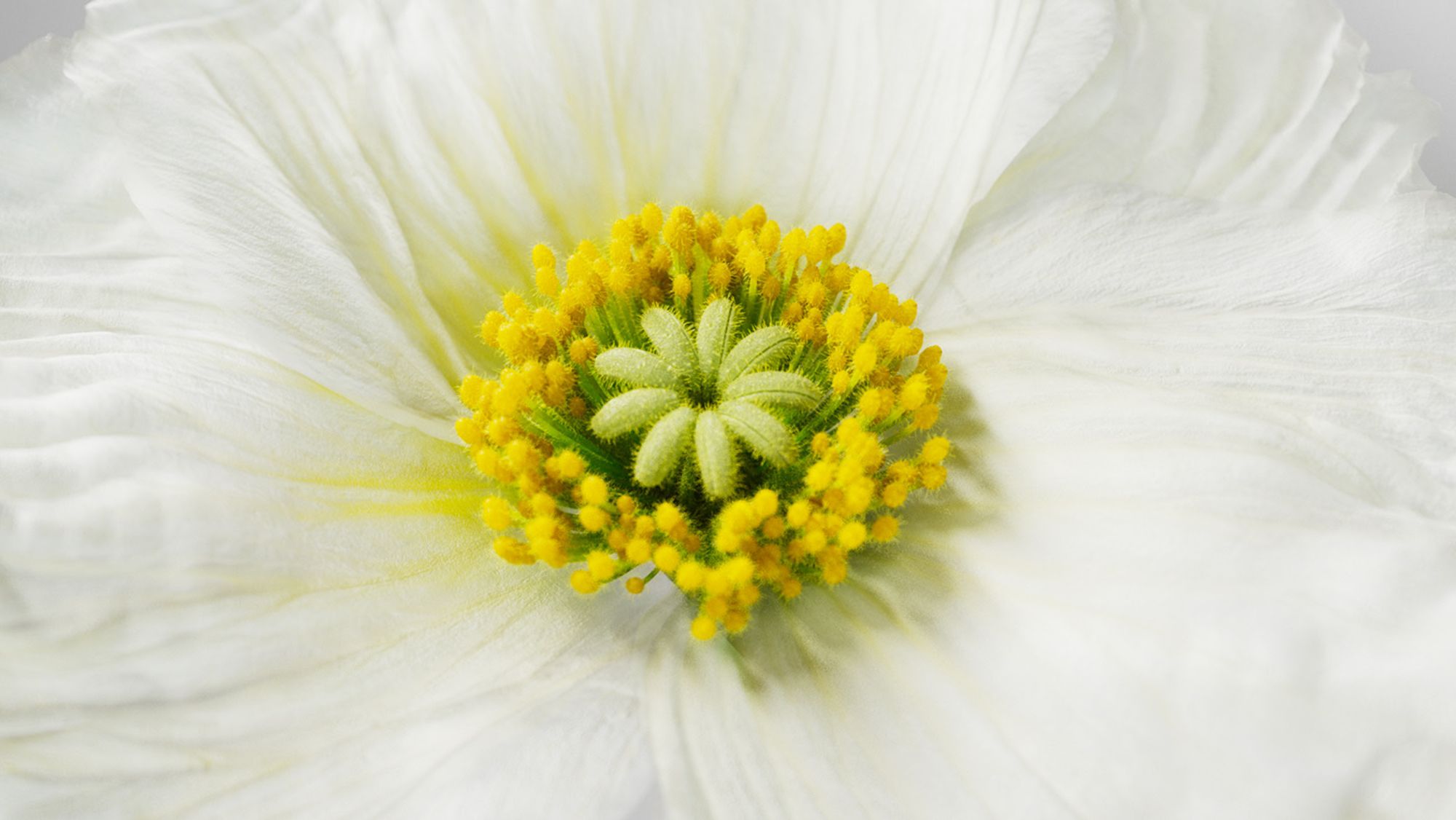 Let Extraordinary Takeover