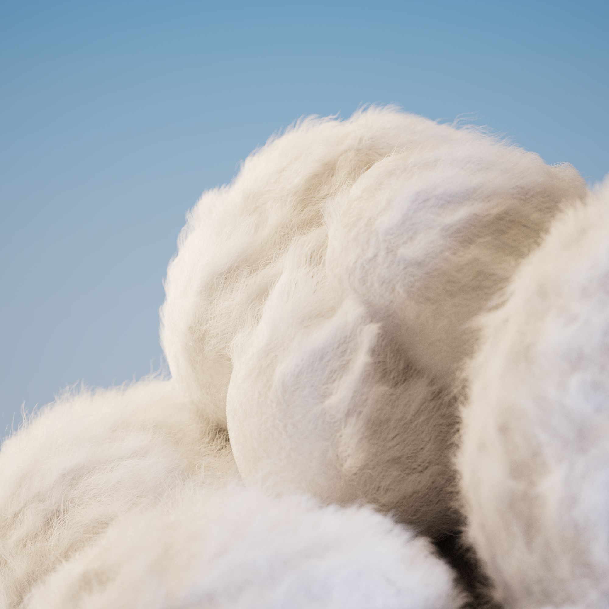 Let Extraordinary Takeover